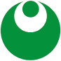 Deutsches Sozialwerk (DSW) e.V.